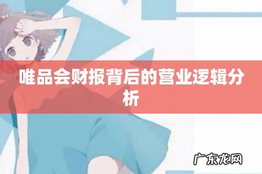 唯品会财报背后的营业逻辑分析