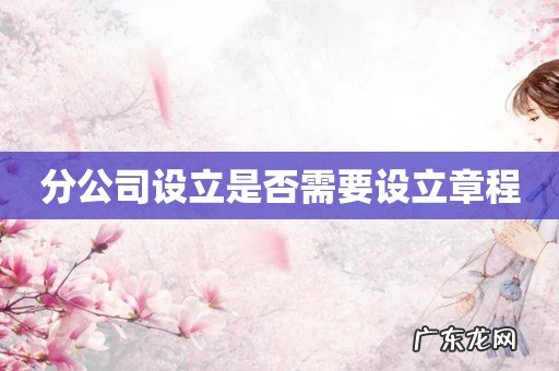 分公司设立是否需要设立章程
