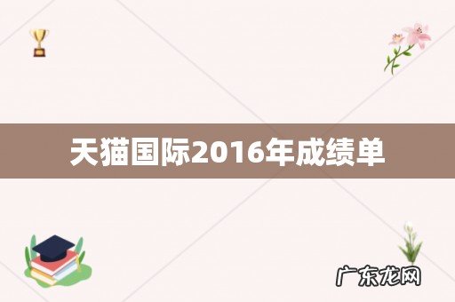 天猫国际2016年成绩单