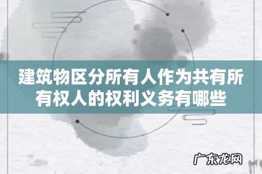 建筑物区分所有人作为共有所有权人的权利义务有哪些