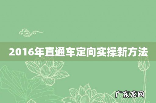 2016年直通车定向实操新方法