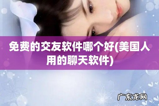 美国人用的聊天软件 免费的交友软件哪个好