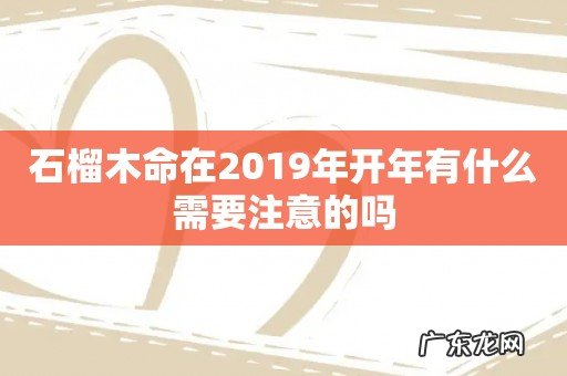 石榴木命在2019年开年有什么需要注意的吗