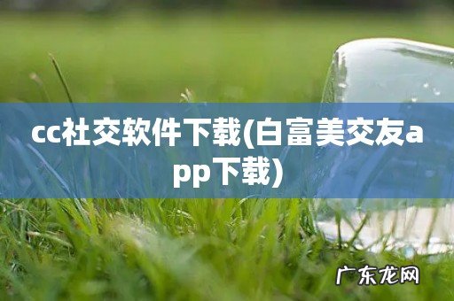 白富美交友app下载 cc社交软件下载