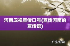 宣传河南的宣传语 河南卫视宣传口号