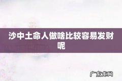 沙中土命人做啥比较容易发财呢