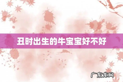 丑时出生的牛宝宝好不好
