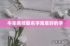 牛年男孩取名字寓意好的字