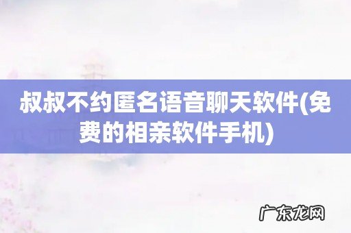 免费的相亲软件手机 叔叔不约匿名语音聊天软件