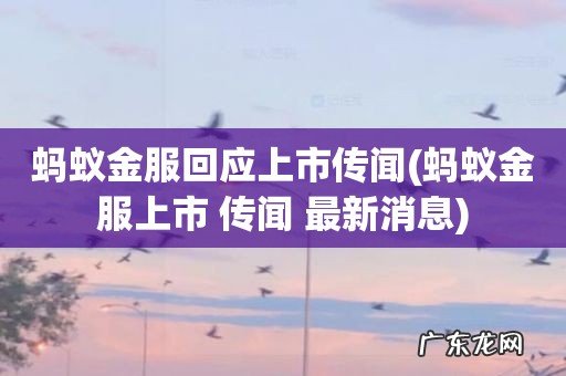 蚂蚁金服上市 传闻 最新消息 蚂蚁金服回应上市传闻