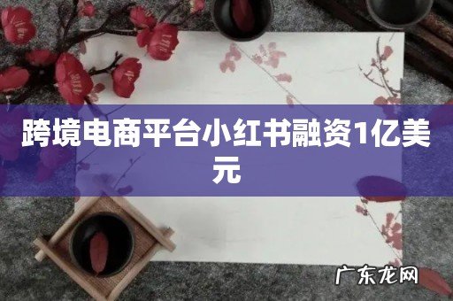 跨境电商平台小红书融资1亿美元