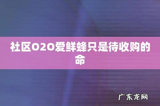 社区O2O爱鲜蜂只是待收购的命