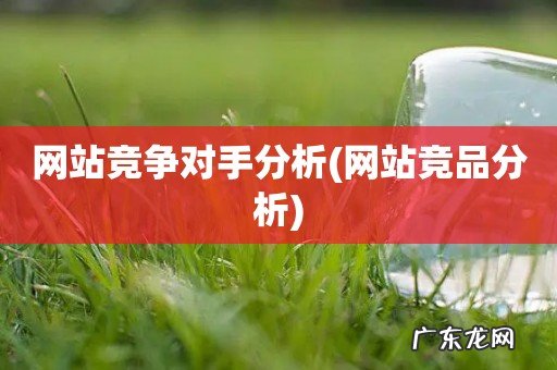 网站竞品分析 网站竞争对手分析