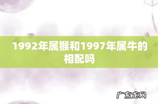 1992年属猴和1997年属牛的相配吗
