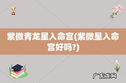 紫微星入命宫好吗? 紫微青龙星入命宫