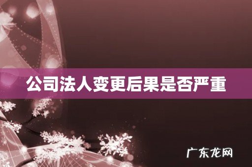 公司法人变更后果是否严重