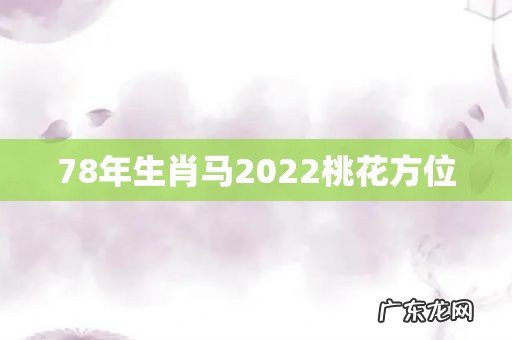 78年生肖马2022桃花方位