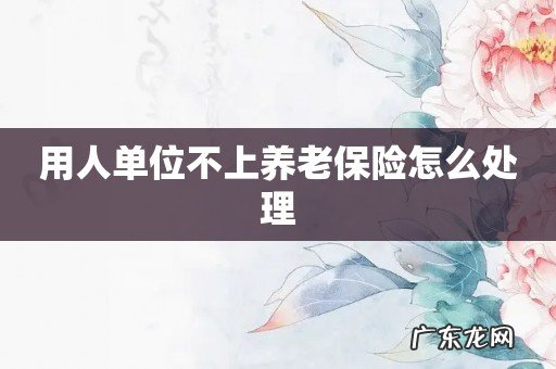 用人单位不上养老保险怎么处理