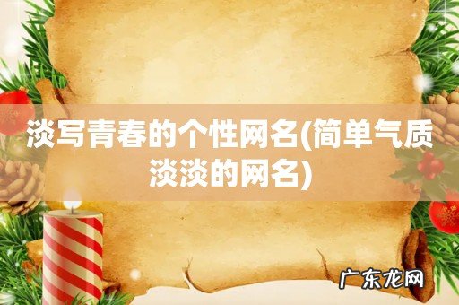 简单气质淡淡的网名 淡写青春的个性网名