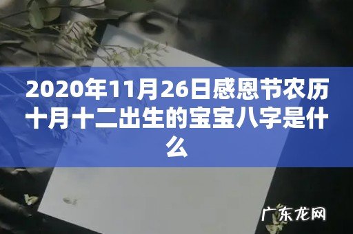 2020年11月26日感恩节农历十月十二出生的宝宝八字是什么
