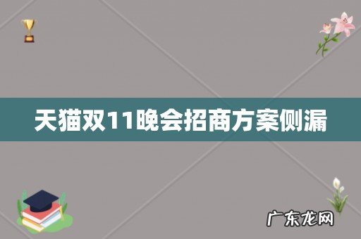 天猫双11晚会招商方案侧漏