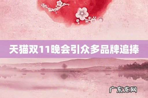 天猫双11晚会引众多品牌追捧