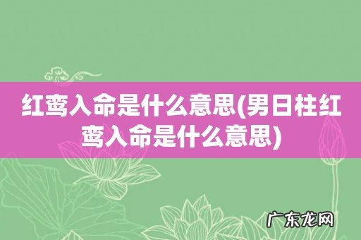 男日柱红鸾入命是什么意思 红鸾入命是什么意思