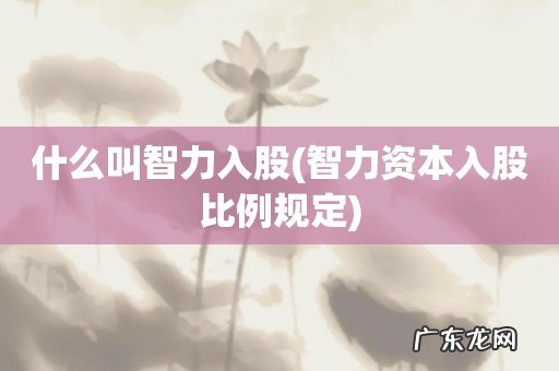 智力资本入股比例规定 什么叫智力入股