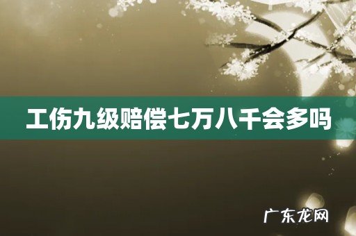 工伤九级赔偿七万八千会多吗