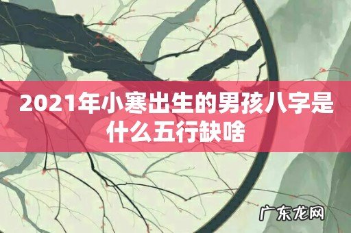 2021年小寒出生的男孩八字是什么五行缺啥