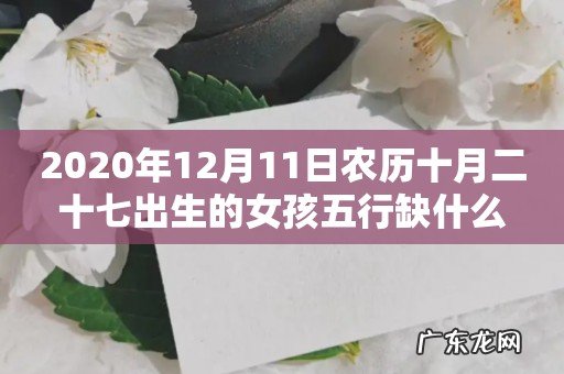 2020年12月11日农历十月二十七出生的女孩五行缺什么
