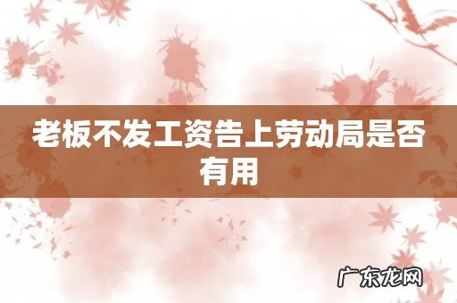 老板不发工资告上劳动局是否有用