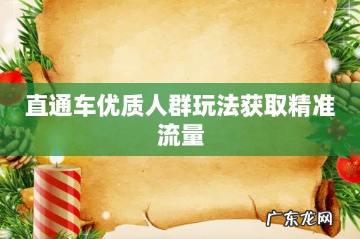 直通车优质人群玩法获取精准流量