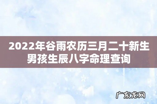 2022年谷雨农历三月二十新生男孩生辰八字命理查询