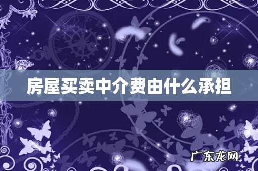 房屋买卖中介费由什么承担