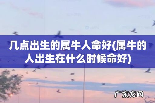 属牛的人出生在什么时候命好 几点出生的属牛人命好