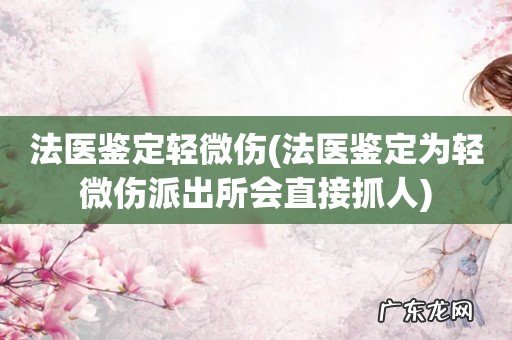 法医鉴定为轻微伤派出所会直接抓人 法医鉴定轻微伤