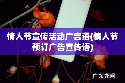 情人节预订广告宣传语 情人节宣传活动广告语