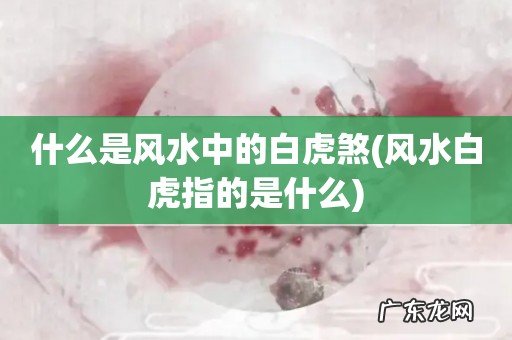 风水白虎指的是什么 什么是风水中的白虎煞