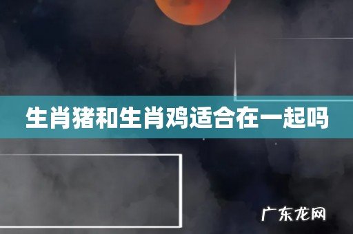 生肖猪和生肖鸡适合在一起吗