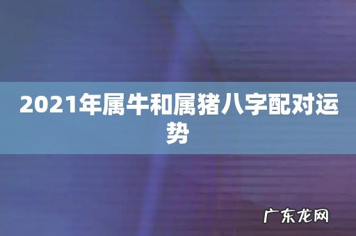 2021年属牛和属猪八字配对运势