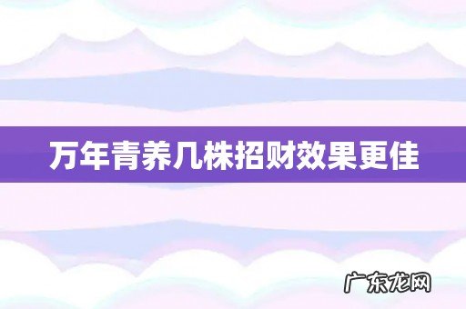 万年青养几株招财效果更佳