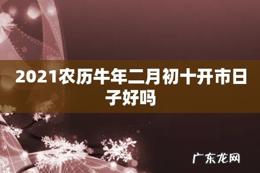 2021农历牛年二月初十开市日子好吗