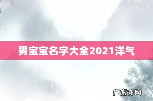 男宝宝名字大全2021洋气