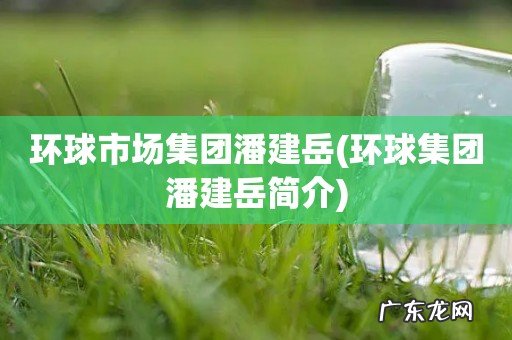 环球集团潘建岳简介 环球市场集团潘建岳