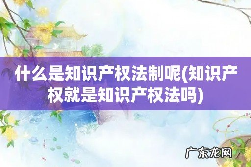 知识产权就是知识产权法吗 什么是知识产权法制呢