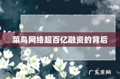 菜鸟网络超百亿融资的背后