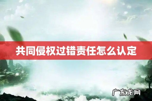 共同侵权过错责任怎么认定