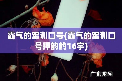 霸气的军训口号押韵的16字 霸气的军训口号
