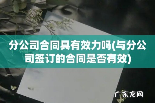 与分公司签订的合同是否有效 分公司合同具有效力吗
